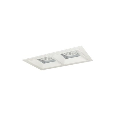 Nora Lighting Iolite MLS 2-Head Trim Kit, MPW Flange, 4000K, 1000lm, MPW Fixed Downlt./Wall Wash Trims NMIOT-12-MPW-FW-40X-10-MPW