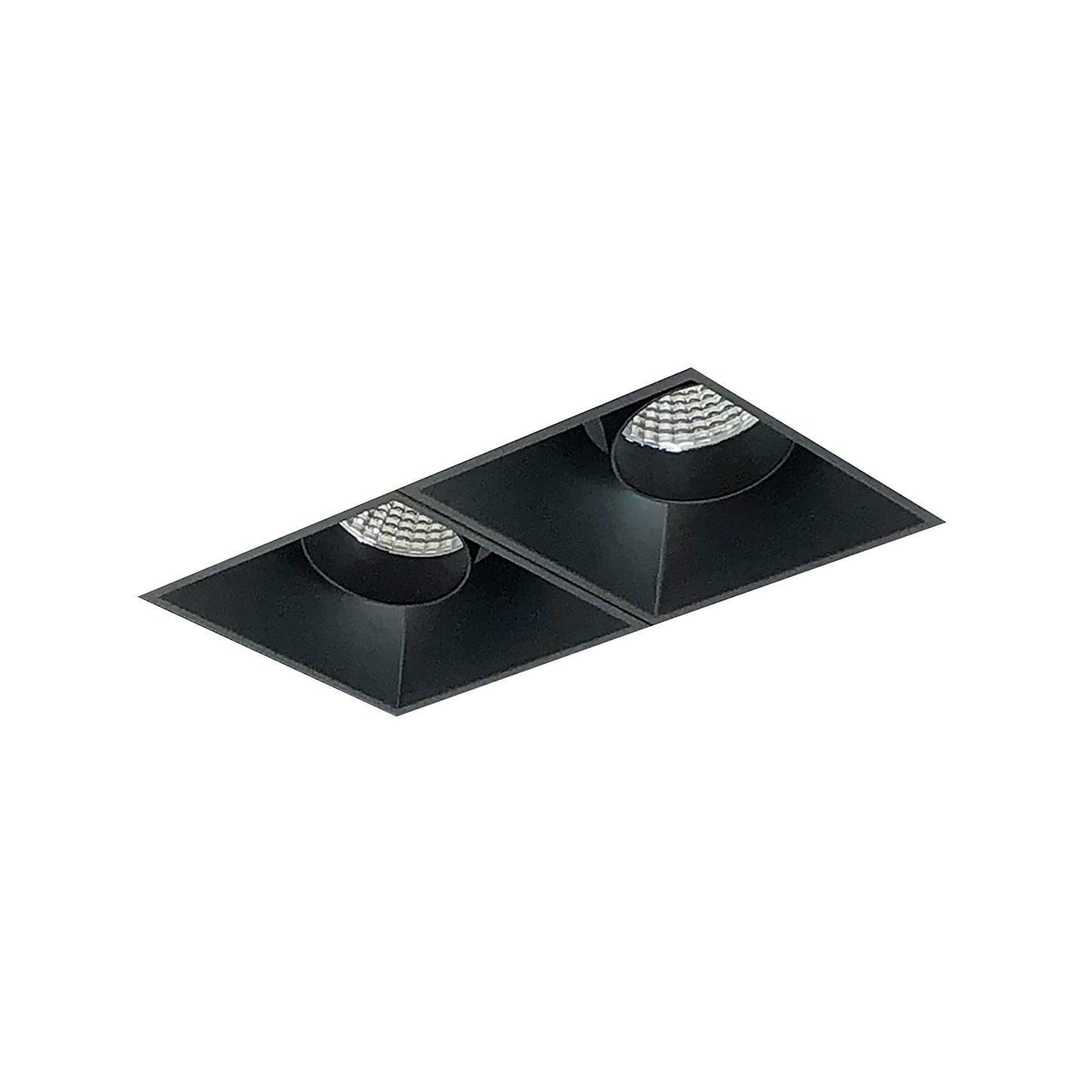 Nora Lighting Iolite MLS 2-Head Trimless Reflector Kit, 2700K, 1000lm, Black Adj. Snoot Trims NMIOTL-12-NF-AA-27X-10-B