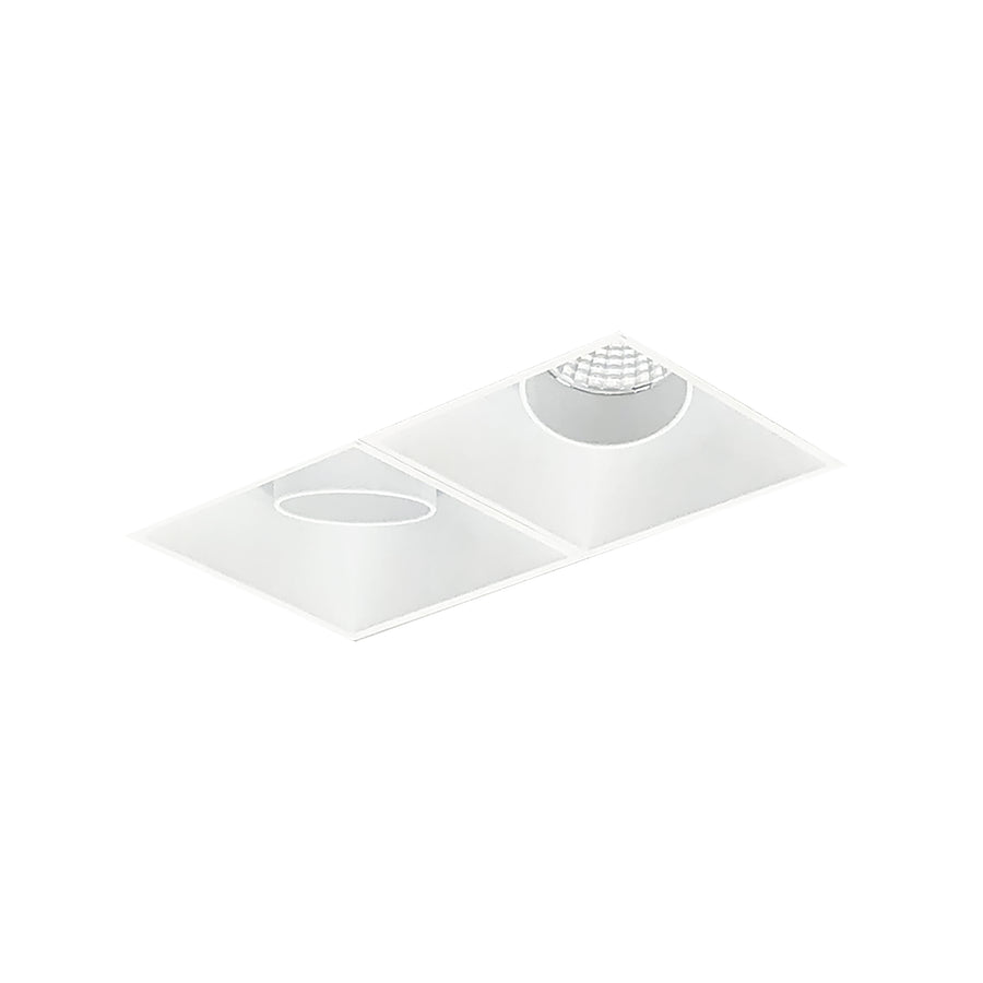 Nora Lighting Iolite MLS 2-Head Trimless Reflector Kit, Comfort Dim, 800lm, MPW Adj. Snoot/Adj. Gimbal Trims NMIOTL-12-NF-AG-CDX-10-MPW